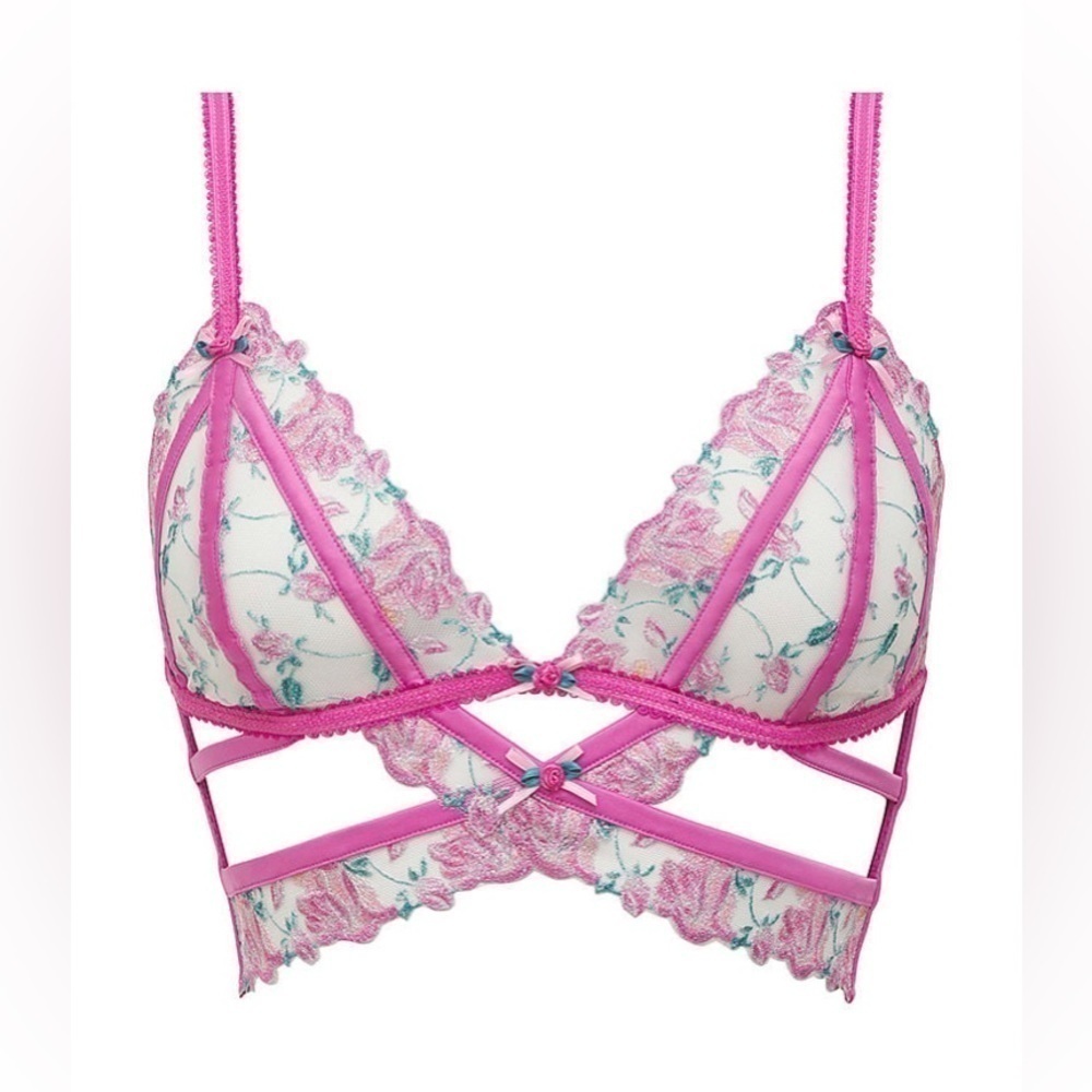 -For Love and Lemons Viviane Rose Embroidered Triangle Bra M NWT